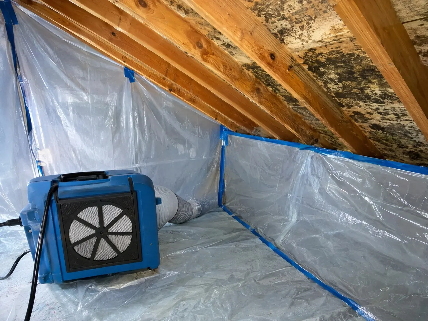 Mold Remediation in Euless, TX